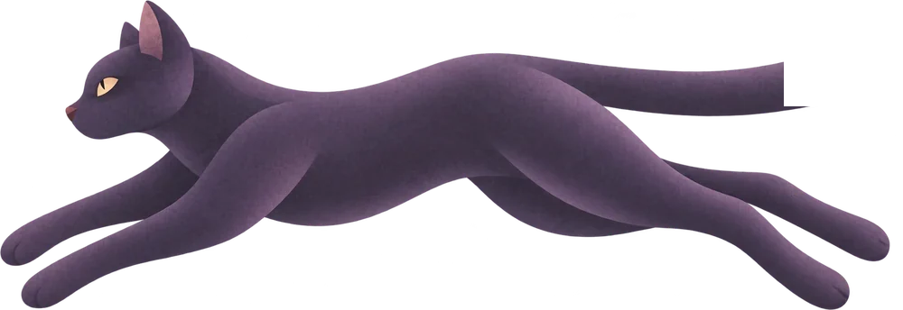 Чёрная кошка бежит